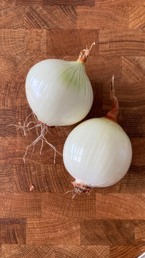 Onion